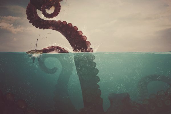 Kraken clear ссылка