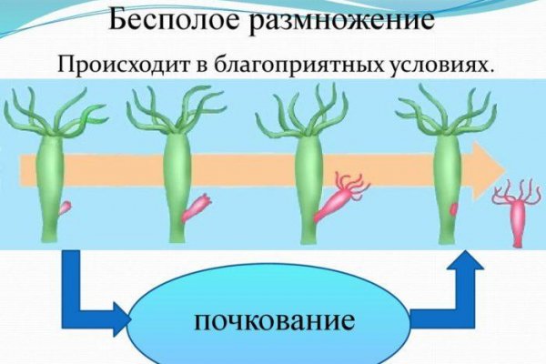Кракен ссылка маркет