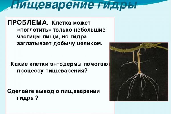 Ссылка на кракен свежая